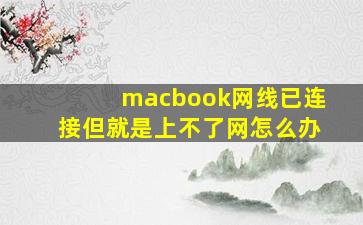 macbook网线已连接但就是上不了网怎么办