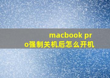 macbook pro强制关机后怎么开机