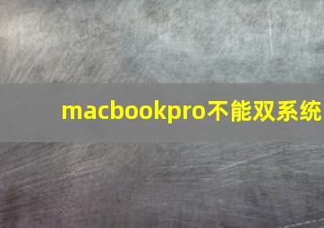 macbookpro不能双系统