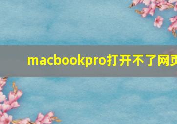 macbookpro打开不了网页