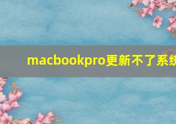 macbookpro更新不了系统