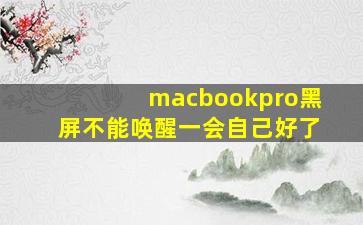 macbookpro黑屏不能唤醒一会自己好了