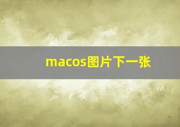 macos图片下一张