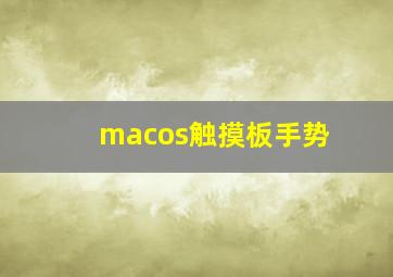 macos触摸板手势