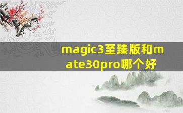 magic3至臻版和mate30pro哪个好