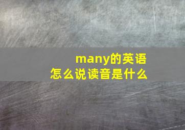 many的英语怎么说读音是什么