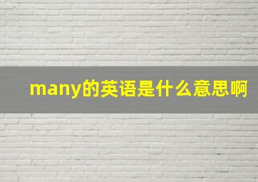 many的英语是什么意思啊