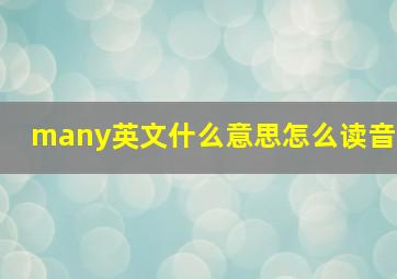 many英文什么意思怎么读音