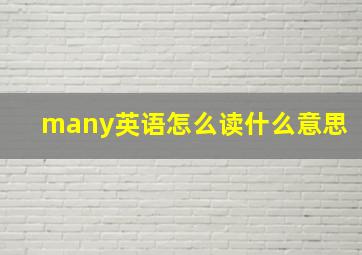 many英语怎么读什么意思