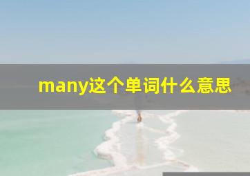 many这个单词什么意思