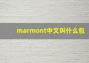 marmont中文叫什么包