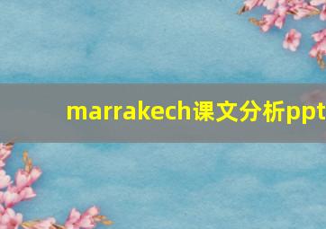 marrakech课文分析ppt