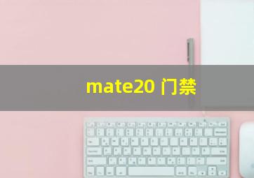 mate20 门禁