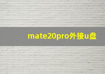 mate20pro外接u盘