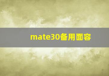 mate30备用面容