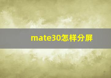 mate30怎样分屏