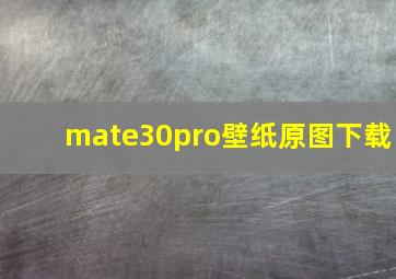 mate30pro壁纸原图下载