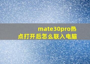 mate30pro热点打开后怎么联入电脑