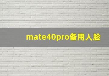 mate40pro备用人脸