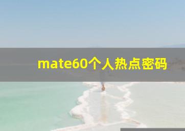 mate60个人热点密码