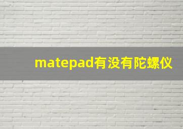 matepad有没有陀螺仪