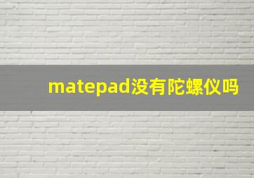 matepad没有陀螺仪吗