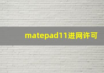 matepad11进网许可