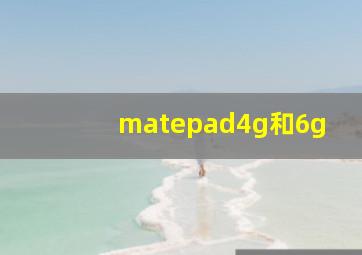 matepad4g和6g