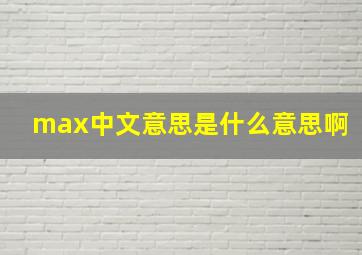 max中文意思是什么意思啊