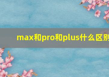 max和pro和plus什么区别