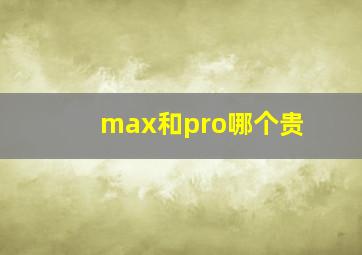 max和pro哪个贵