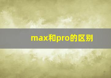 max和pro的区别