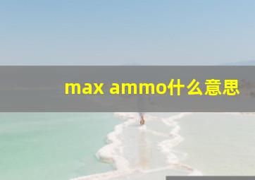 max ammo什么意思