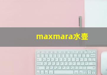 maxmara水壶