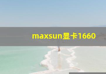 maxsun显卡1660