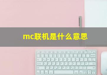 mc联机是什么意思