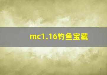 mc1.16钓鱼宝藏