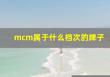 mcm属于什么档次的牌子