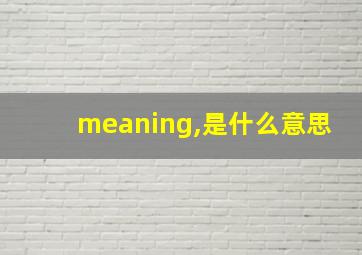 meaning,是什么意思