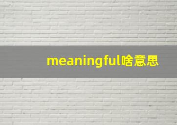 meaningful啥意思