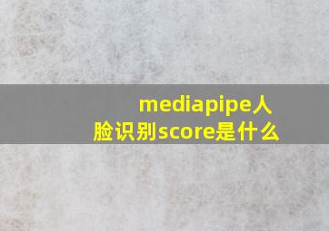 mediapipe人脸识别score是什么