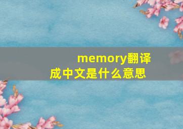 memory翻译成中文是什么意思