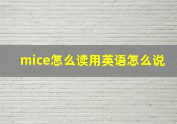 mice怎么读用英语怎么说