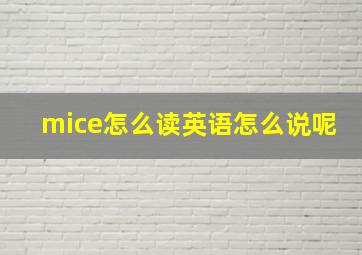 mice怎么读英语怎么说呢