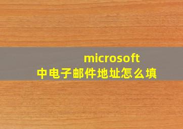 microsoft中电子邮件地址怎么填