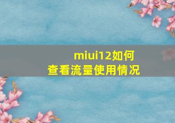 miui12如何查看流量使用情况