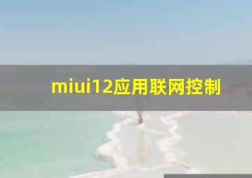 miui12应用联网控制