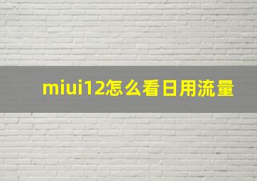 miui12怎么看日用流量