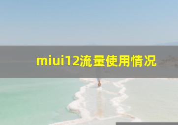 miui12流量使用情况