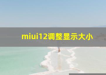 miui12调整显示大小